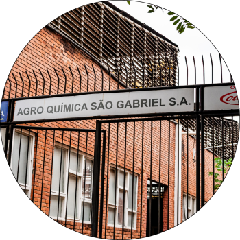 Design sem nome (7)